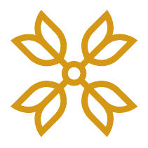 Арника